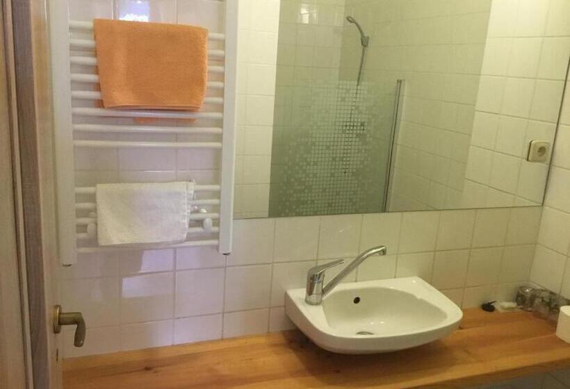 Номер Стандарт, Penzion Real