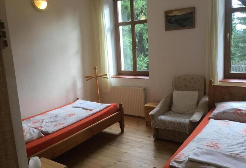 Номер Стандарт, Penzion Real