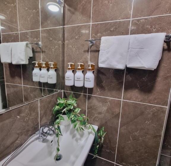 标准单人间, Space Guesthouse