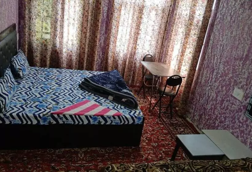 Camera Standard, Sunlight Srinagar