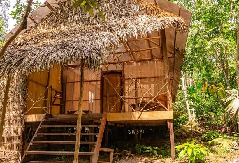 اتاق استاندارد با تخت بزرگ, Family Hotel Purma Caspi On The Jungle Lake