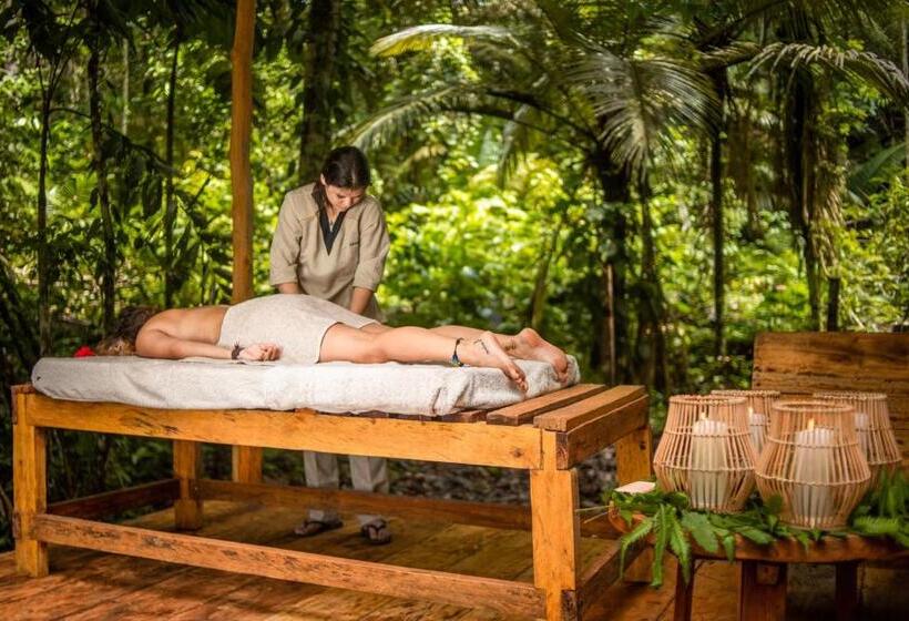 اتاق استاندارد با تخت بزرگ, Family Hotel Purma Caspi On The Jungle Lake