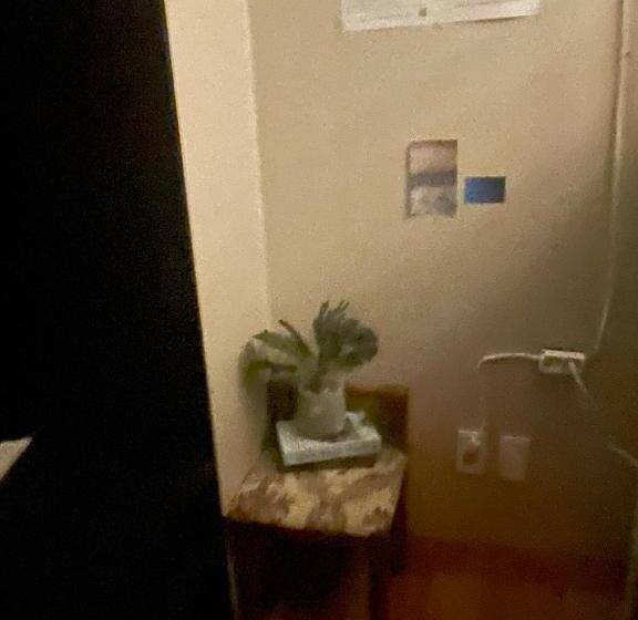 تختخواب در اتاق مشترک, Hanra Guesthouse