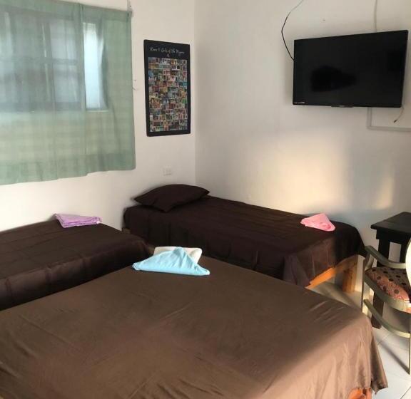 Economy Triple Room, Posada Dora