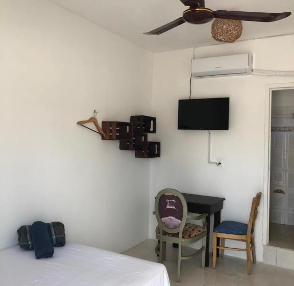 اتاق اکونومی یک تخته, Posada Dora