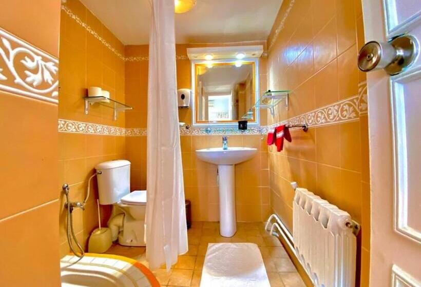 חדר סטנדרט, Plaza La Marsa