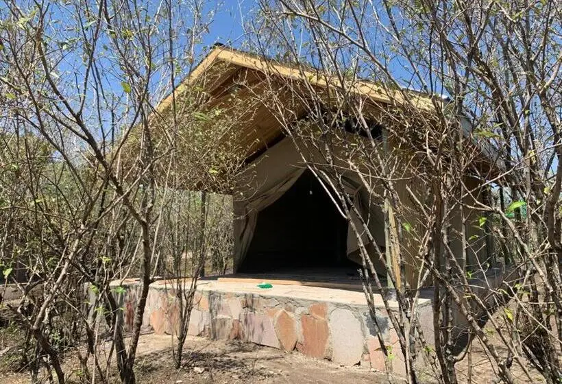 اتاق استاندارد, Resian Mara Camp