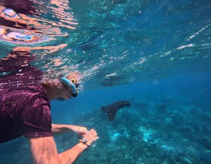 Номер Стандарт с Террасой, David Homestay Raja Ampat