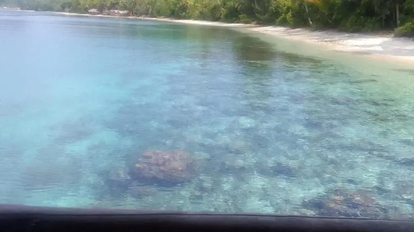 Standard-huone Sisäpuolella, David Homestay Raja Ampat