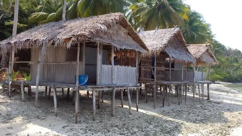 Standard-huone Sisäpuolella, David Homestay Raja Ampat