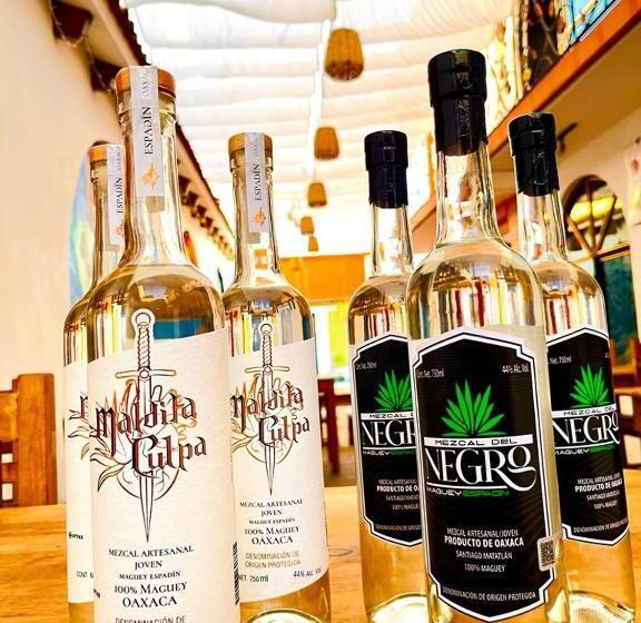 Номер Стандарт, Encuentro Maguey