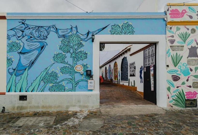 스탠다드 룸, Encuentro Maguey