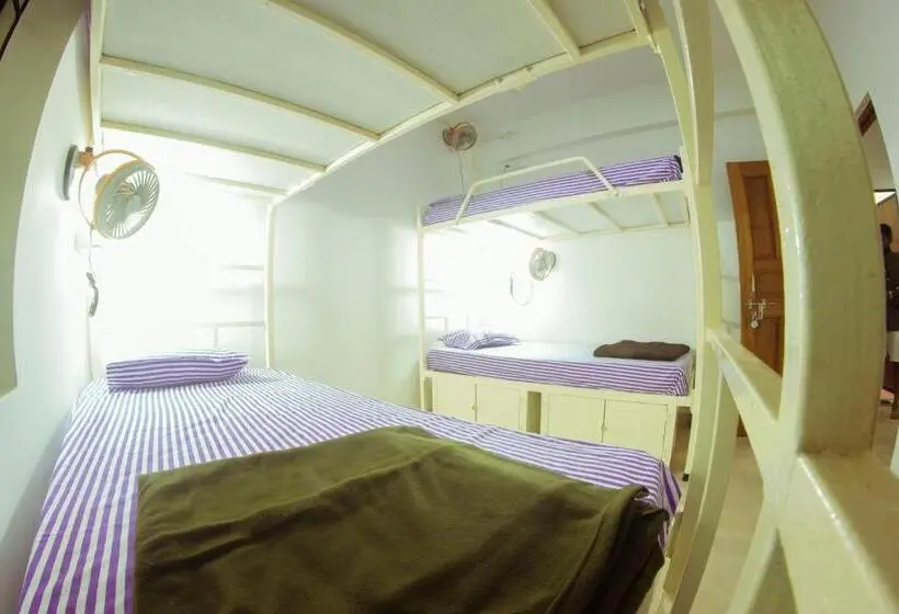 Yatak Paylaşımlı Oda, Bonds Hostel