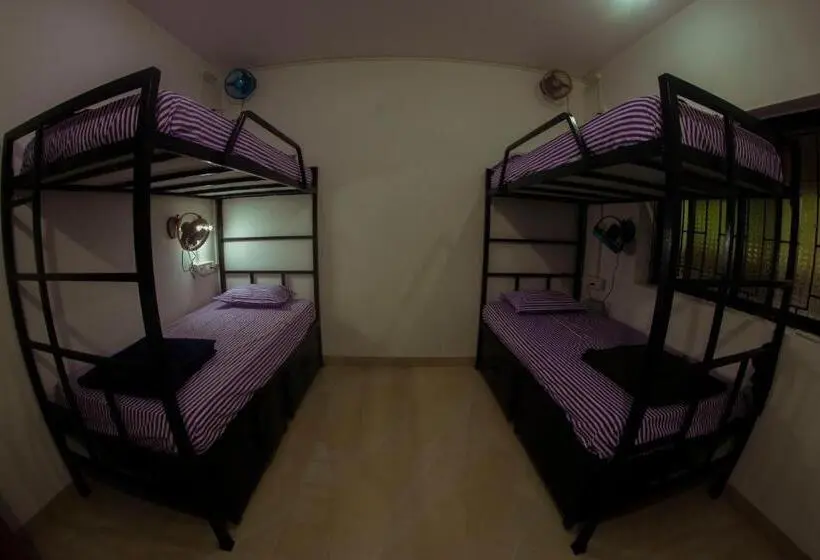 Yatak Paylaşımlı Oda, Bonds Hostel