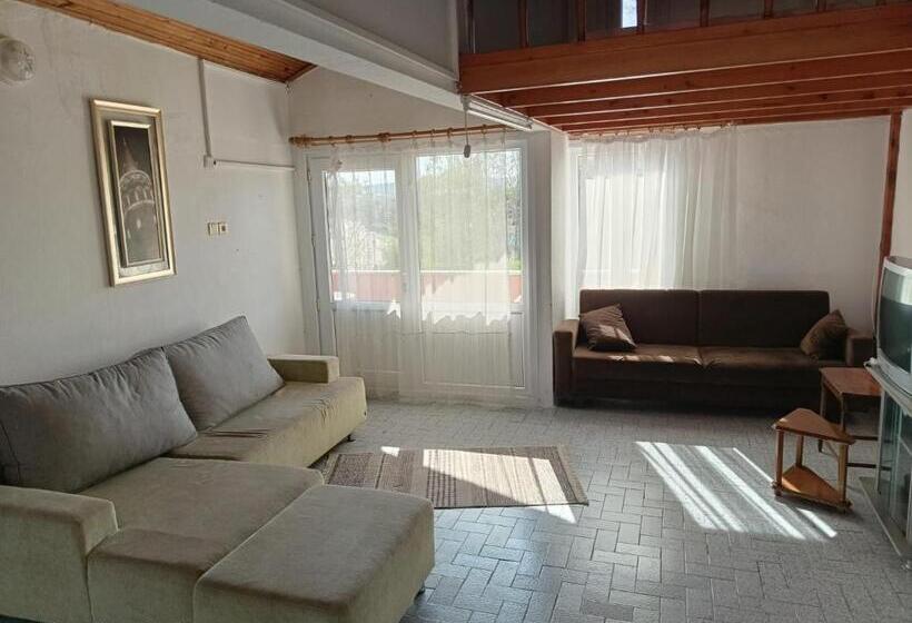 جناح, Deni̇z Yildizi