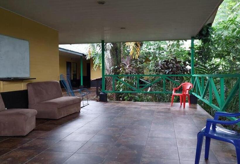 سرير فى غرفة مشتركه, Hal