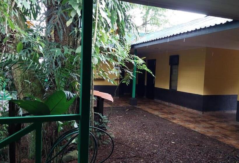 سرير فى غرفة مشتركه, Hal