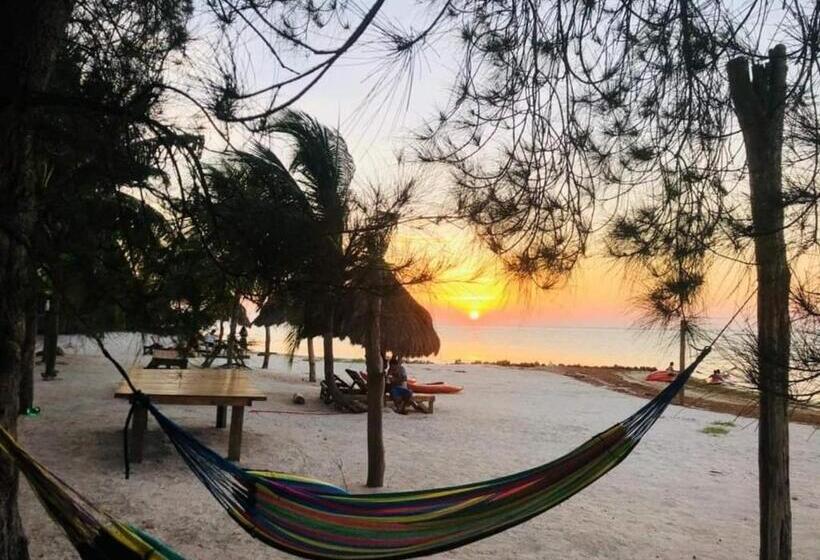 带海景的标准房, Cabañas Perla Escondida