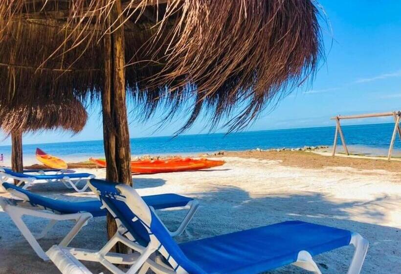 带海景的标准房, Cabañas Perla Escondida