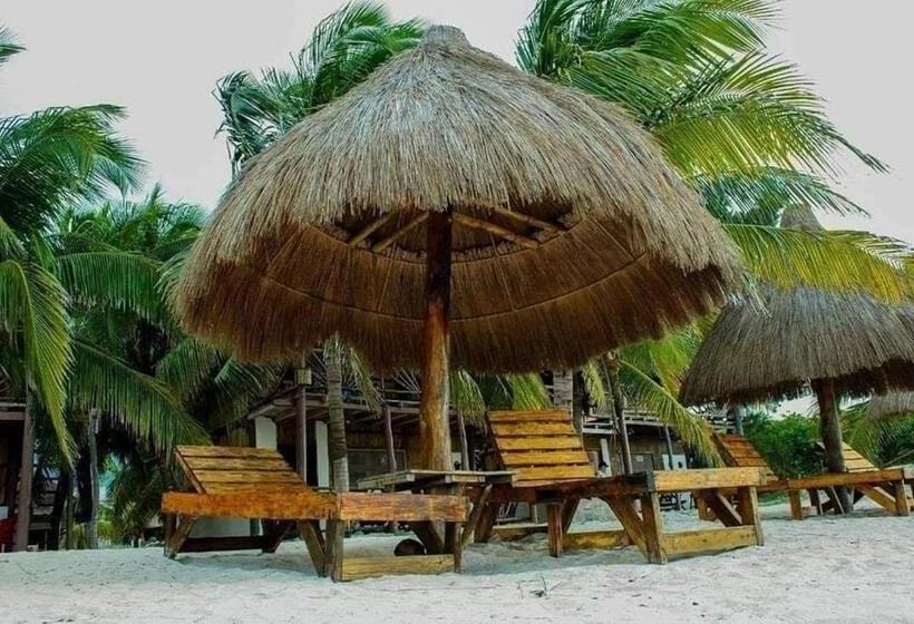 带海景的标准房, Cabañas Perla Escondida