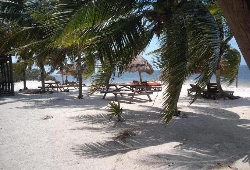 带海景的标准房, Cabañas Perla Escondida