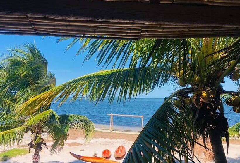 带海景的标准房, Cabañas Perla Escondida