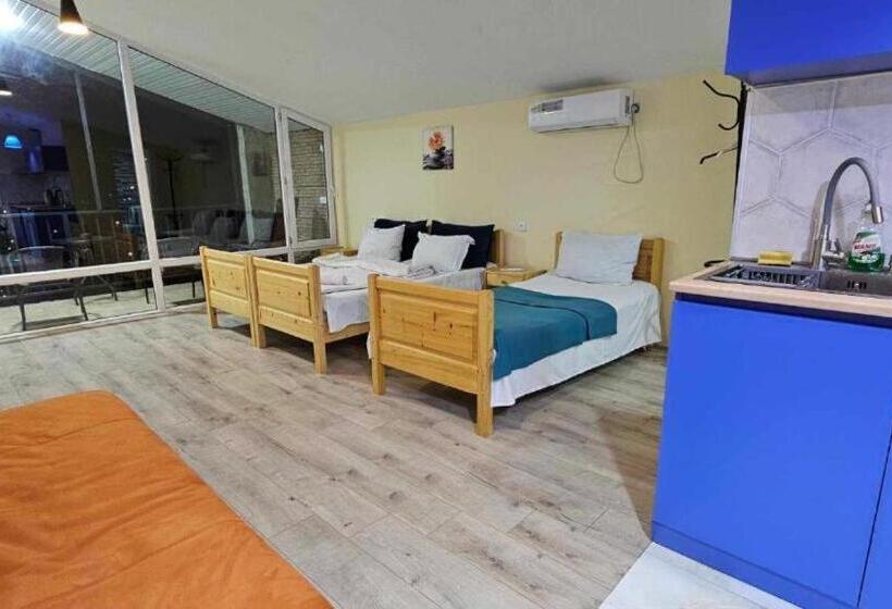 اتاق استاندارد سه نفره, Tamara