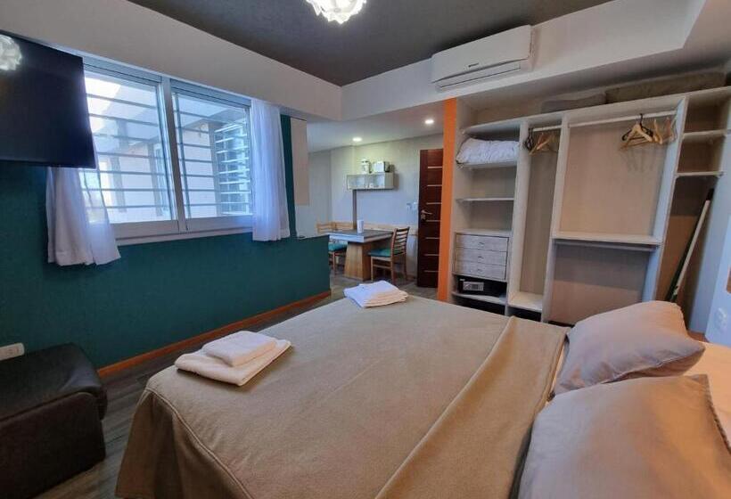 스탠다드 스튜디오 바다 전망, View Beach