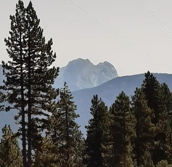 ファミリールーム, Coll De Port