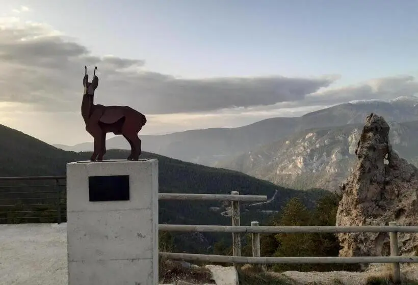ファミリールーム, Coll De Port