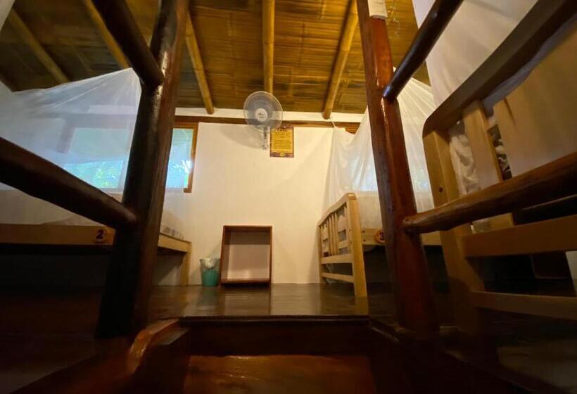 ベーシックトリプルルーム, Hidden House