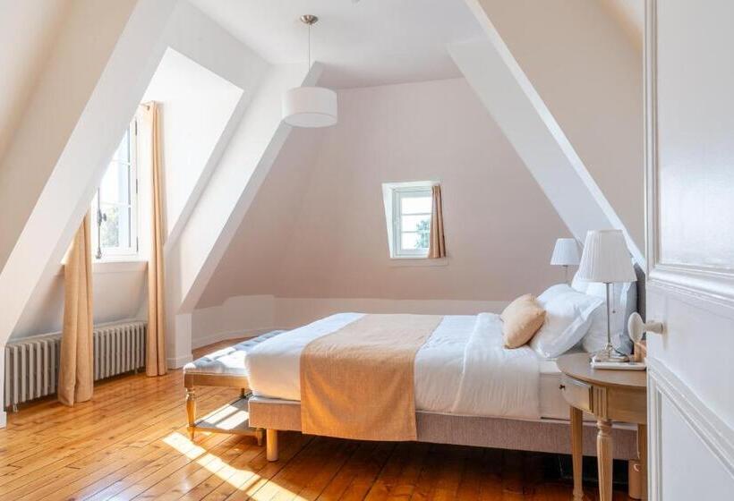 غرفة قياسية مطلّة علي الحديقة, Château De Bonaventure