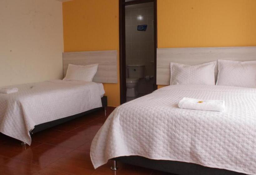 Номер Стандарт, Gran