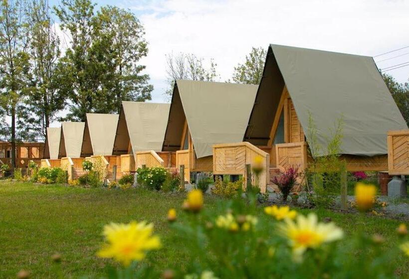 اتاق استاندارد یک تخته با بالکن, Kentwood Cabins And Camp