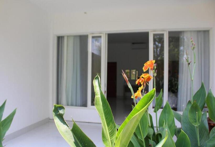 스탠다드 테라스 룸, Turtle House Lombok