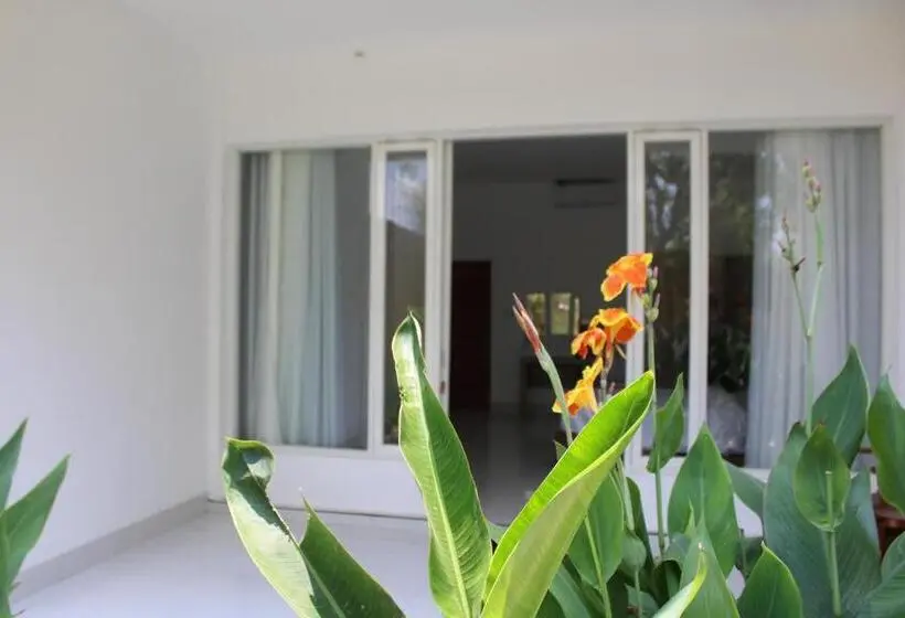 Standard-huone Terassi, Turtle House Lombok