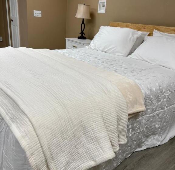 스탠다드 룸 가든 전망, Charming Canton Guesthouse With Private Entrance & Hot Tub