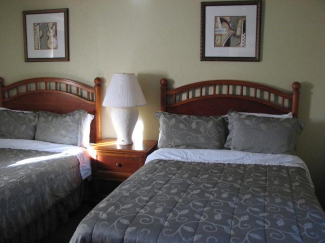 舒适三人间, Gateway Lodge