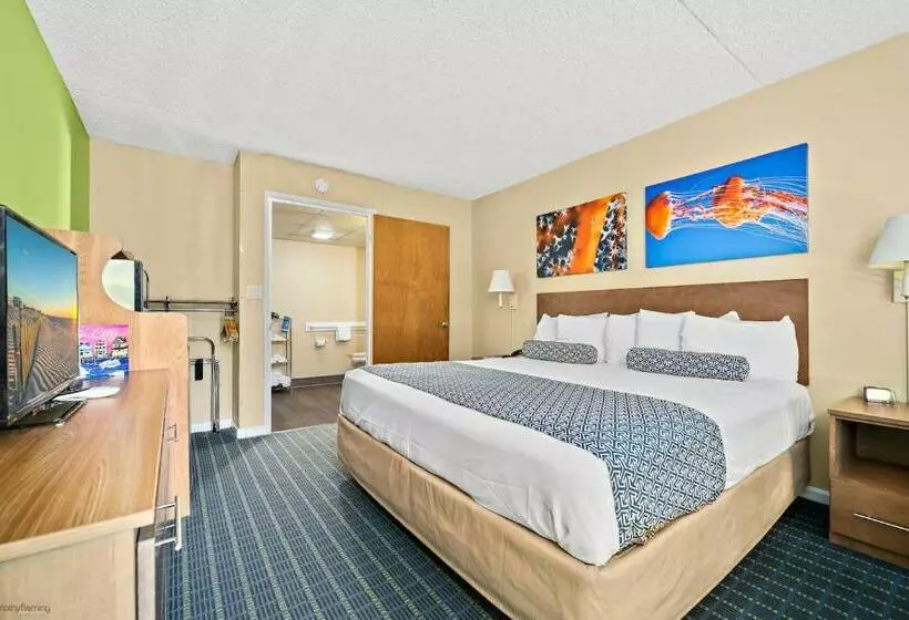 身障者適用キングサイズベッドルーム, Harris House By The Beach