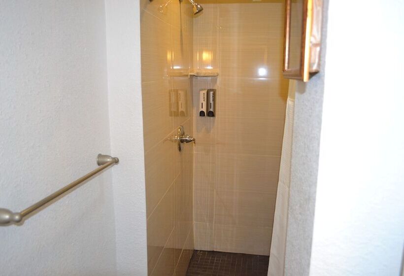 اتاق استاندارد با سرویس بهداشتی مشترک, Inn On Folsom