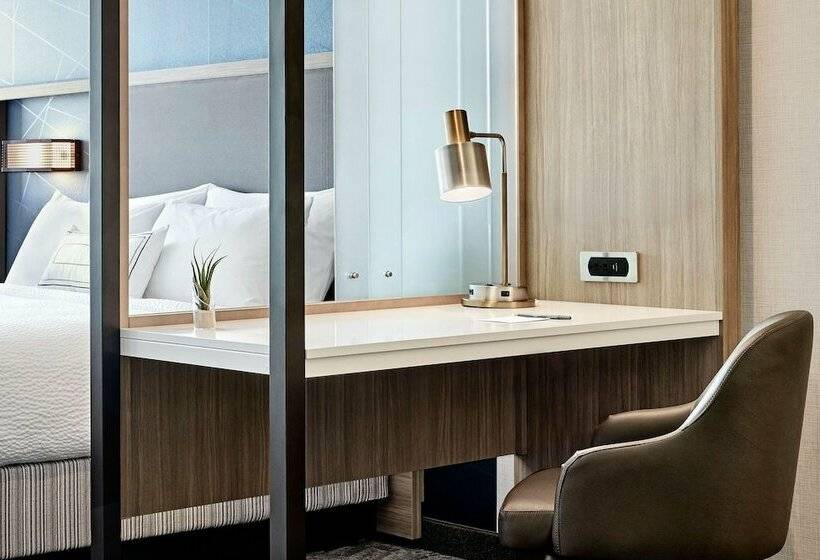 ダブルベッドのスタンダードスタジオ, Springhill Suites By Marriott Tallahassee North