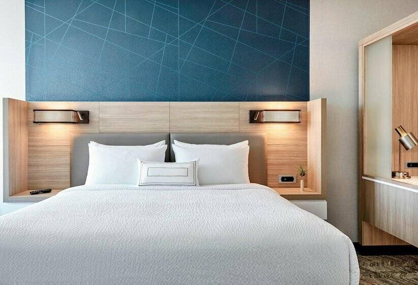 ダブルベッドのスタンダードスタジオ, Springhill Suites By Marriott Tallahassee North