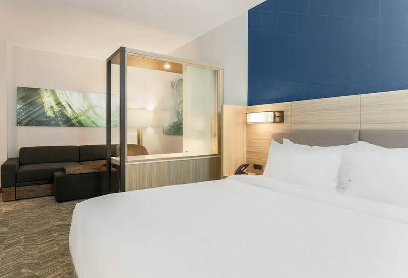 ダブルベッドのスタンダードスタジオ, Springhill Suites By Marriott Tallahassee North