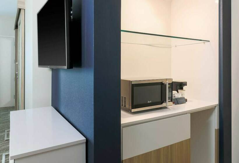 ダブルベッドのスタンダードスタジオ, Springhill Suites By Marriott Tallahassee North