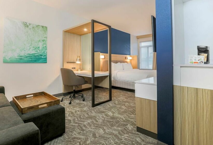 ダブルベッドのスタンダードスタジオ, Springhill Suites By Marriott Tallahassee North