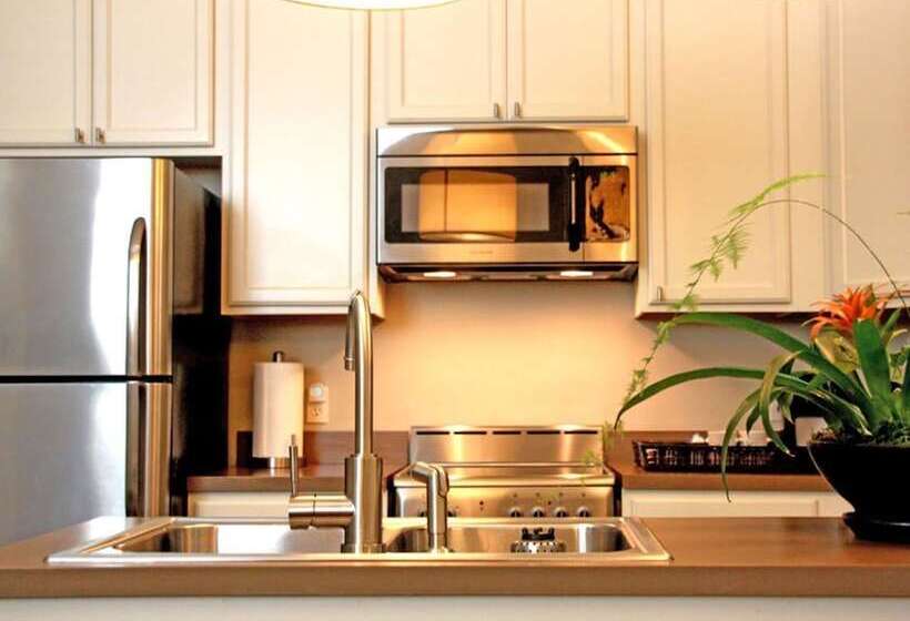 جناح, The Inn On Whitworth