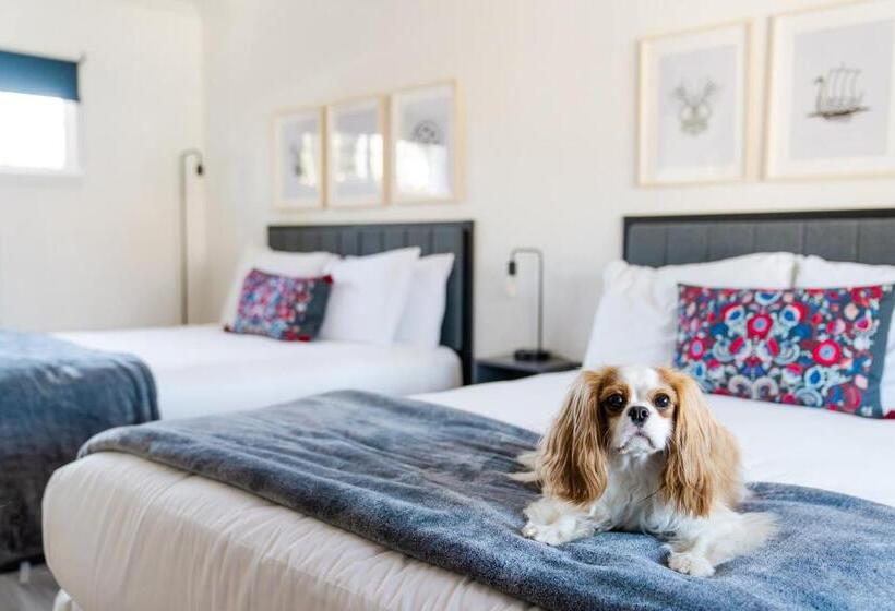 스탠다드 룸, Viking Inn