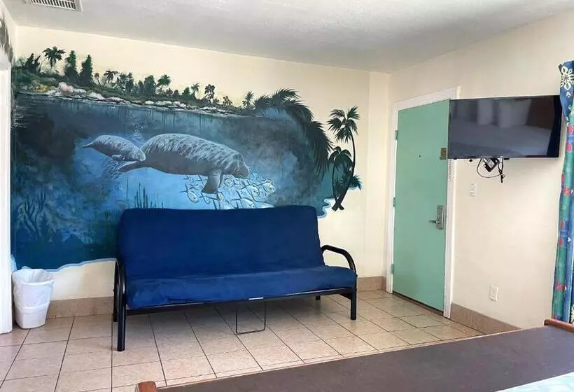 سوییت, Magic Beach Motel  Vilano Beach, Saint Augustine