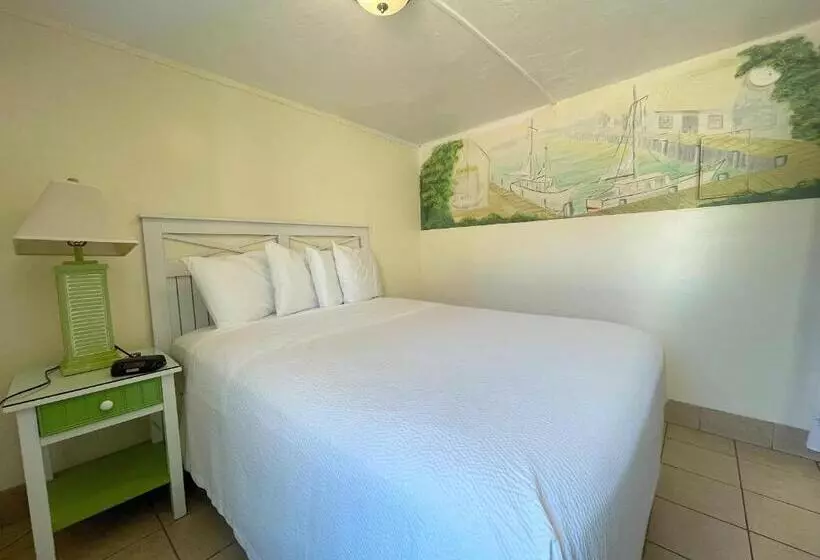 اتاق استاندارد برای معلولان, Magic Beach Motel  Vilano Beach, Saint Augustine