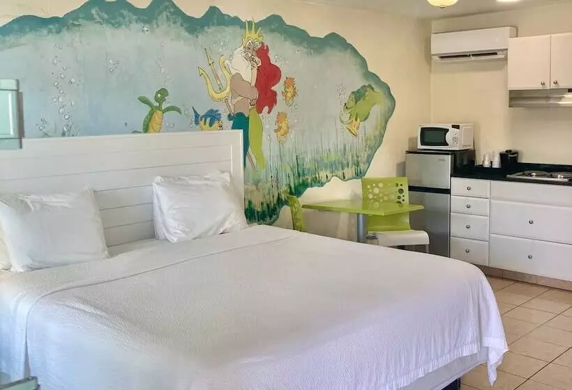 اتاق استاندارد با تخت بزرگ برای معلولان, Magic Beach Motel  Vilano Beach, Saint Augustine